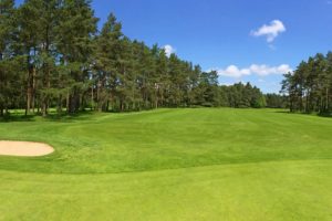 常用草坪种子草籽大全-瀚阳绿化