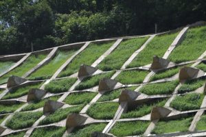 河道护坡案例-瀚阳绿化