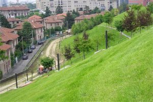 荒山复绿案例-瀚阳绿化