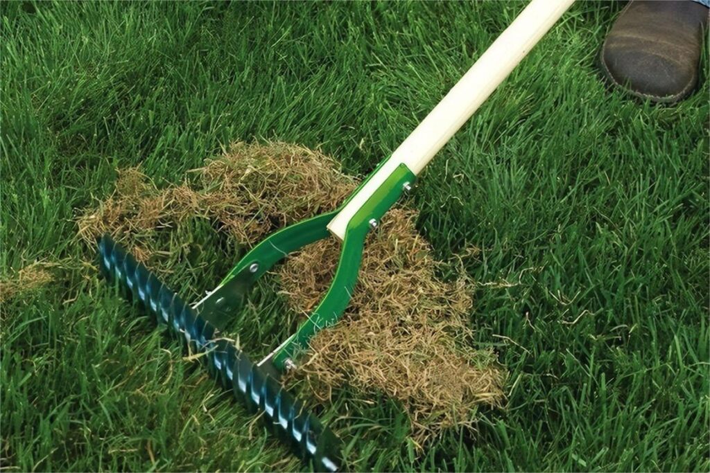 草坪修复-瀚阳绿化