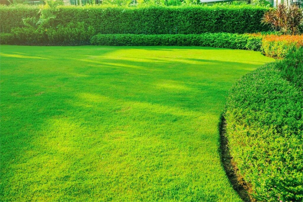 绿化草坪种子怎么种植？专业种植方法教给您-瀚阳绿化