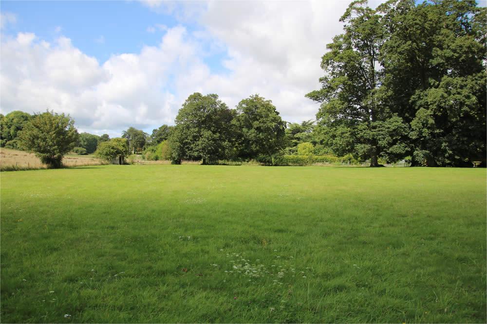 草坪种子哪里有卖的-瀚阳绿化