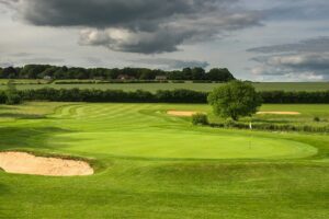 买草坪种子被骗了?从商家角度来分析一下原因-瀚阳绿化