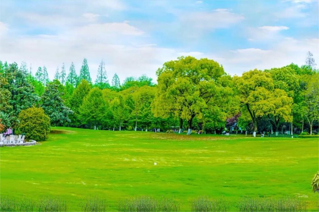 春季草坪修剪指南，每年一次的低修剪别忘了做-瀚阳绿化