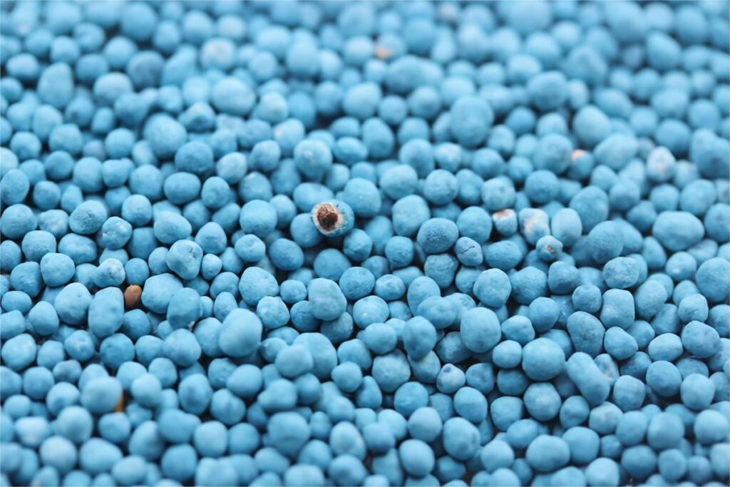 马蹄金种籽(包衣)-瀚阳绿化