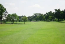 什么季节播种草坪种子效果最佳?-瀚阳绿化