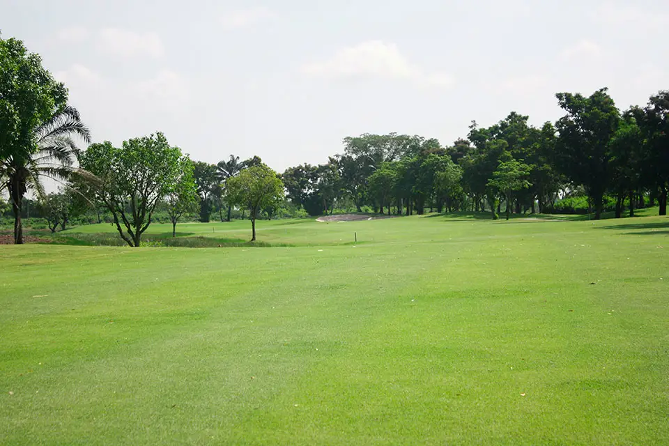 草坪日常养护的注意事项-瀚阳绿化