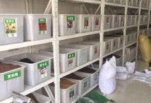 草坪种子的储存方法-瀚阳绿化