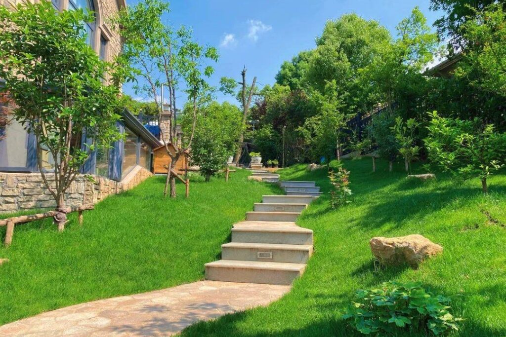 草坪播种方法-瀚阳绿化