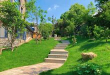 草坪播种方法-瀚阳绿化