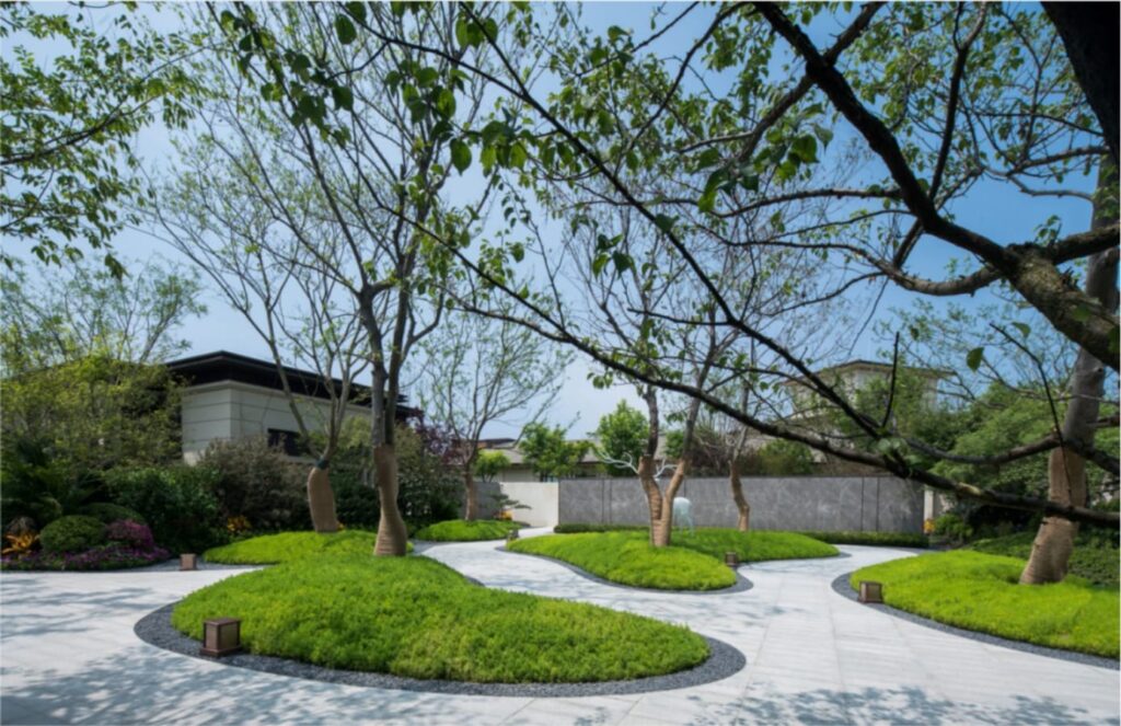 佛甲草-瀚阳绿化