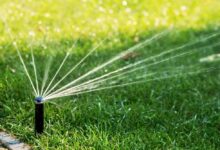 草坪草浇水养护攻略-瀚阳绿化