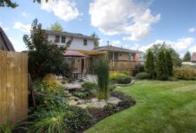 家庭草坪种子播种全攻略-瀚阳绿化