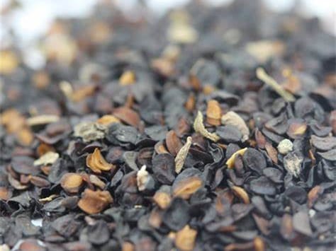 苦荬菜种籽-瀚阳绿化