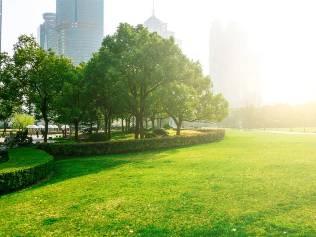 草坪种子全方位解析：种类、品种、播种与养护管理指南-瀚阳绿化