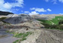 矿山、荒山复绿种子解决方案经济实惠-瀚阳绿化