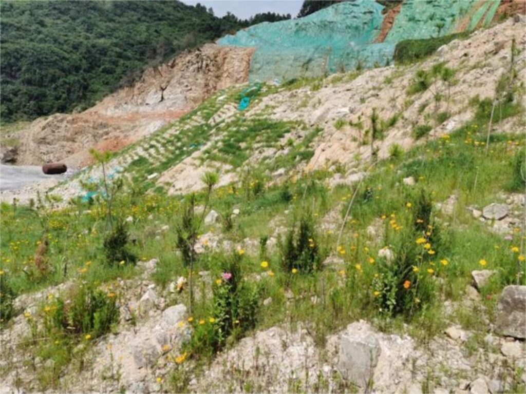 矿山、荒山复绿种子解决方案经济实惠-瀚阳绿化