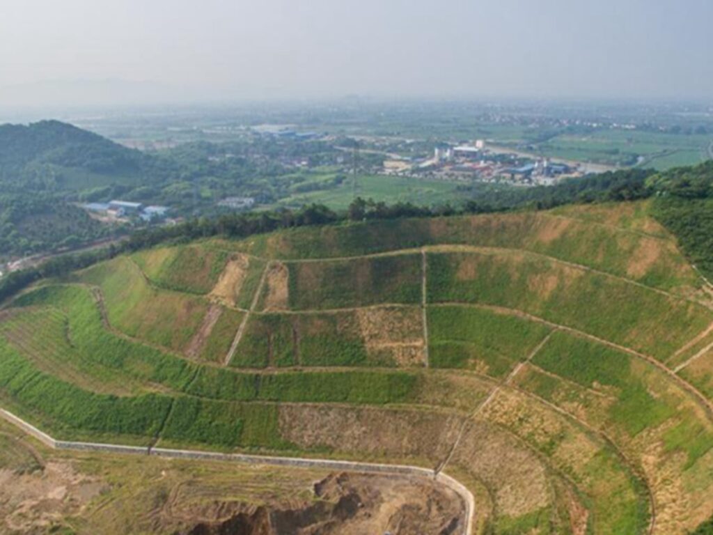 矿山、荒山复绿种子解决方案经济实惠-瀚阳绿化