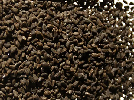 古代稀种籽-瀚阳绿化