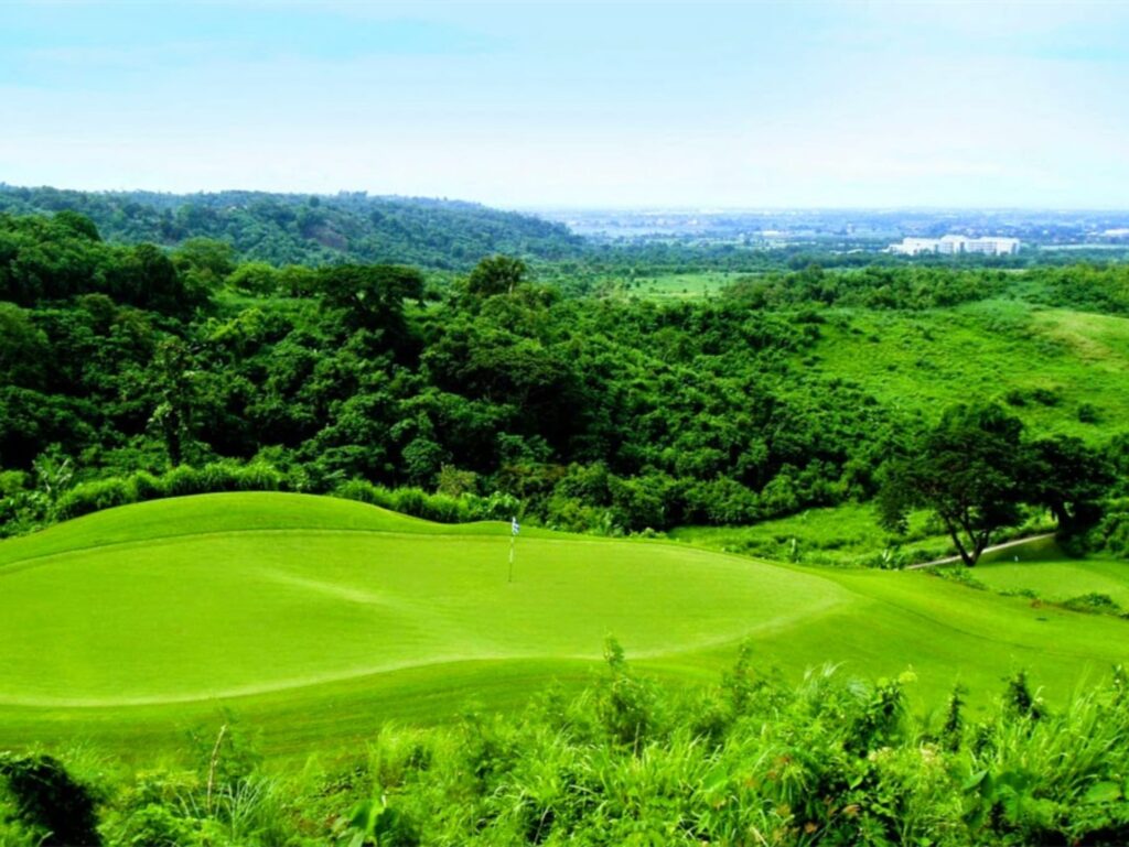 果岭草的特性与四季养护管理策略-瀚阳绿化