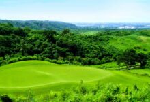 果岭草的特性与四季养护管理策略-瀚阳绿化