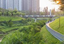 河道护坡草籽—江苏瀚阳绿化为生态护坡注入“生命力”-瀚阳绿化