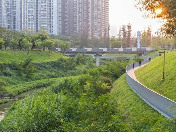 河道护坡草籽—江苏瀚阳绿化为生态护坡注入“生命力”