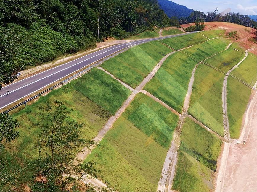 公路护坡草籽的多方面优势-瀚阳绿化