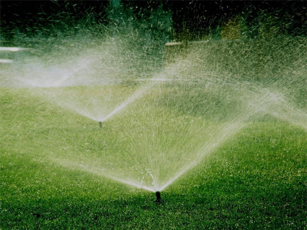 草坪种子播种后如何科学浇水和施肥？