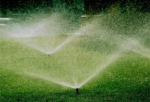 草坪种子播种后如何科学浇水和施肥?-瀚阳绿化