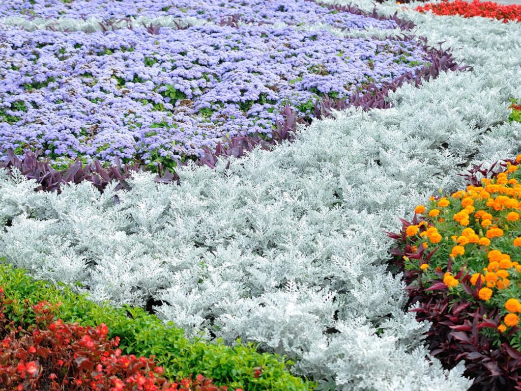 全年花海（种子种植）规划方案-瀚阳绿化