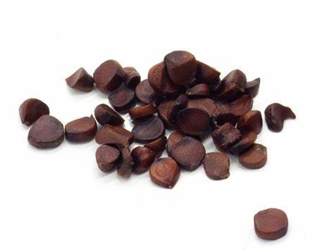 黄菖蒲种籽-瀚阳绿化