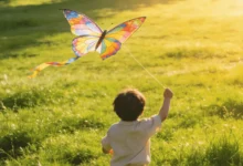 北方地区最佳草坪草种选择指南-瀚阳绿化