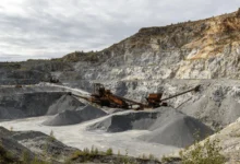 低成本矿山复绿方案：瀚阳绿化种子技术指南-瀚阳绿化